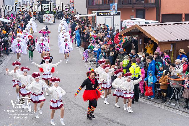 Foto Laudi_Pleintinger_Faschingszug-206169.jpg